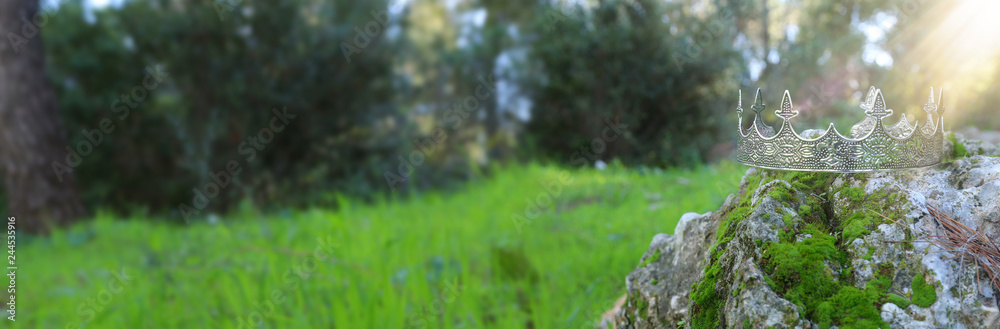 mysterious and magical photo of silver king crown over the stone covered with moss in the England woods or field landscape with light flare. Medieval period concept. mysterious and magical photo of silver king crown over the stone covered with moss in the England woods or field landscape with light flare. Medieval period concept.