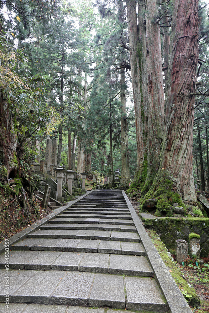 Obraz premium 夕方の高野山奥之院参道のお地蔵さま