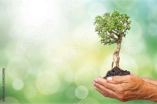 Green Growing Plant in Human Hands on beautiful natural