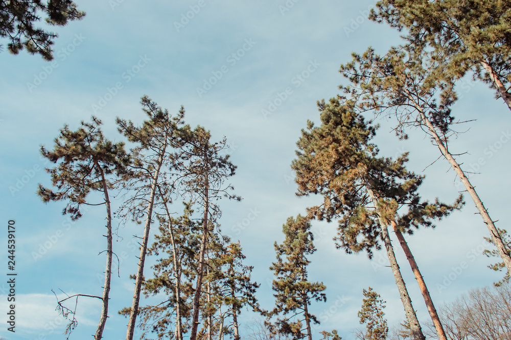 Obraz premium my photos