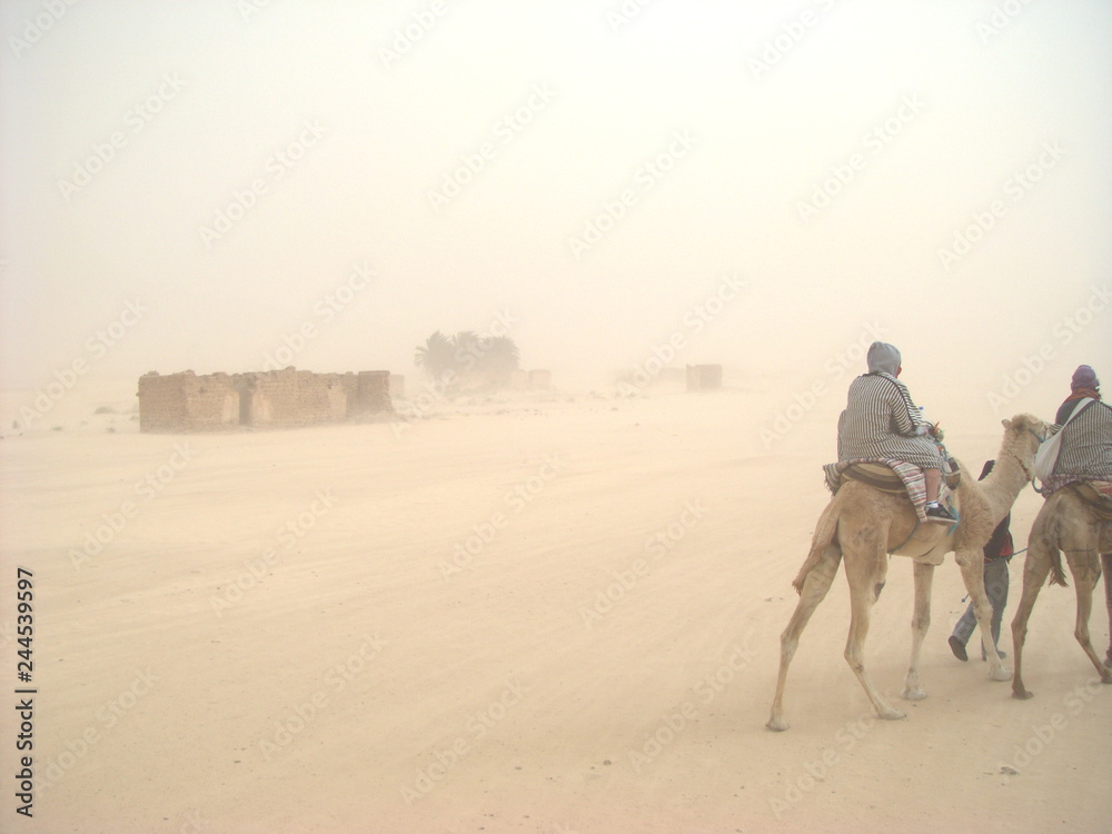 Tourists making a camel Trek in the middle of Sahara desert during a sandstorm with ancient ruins behind