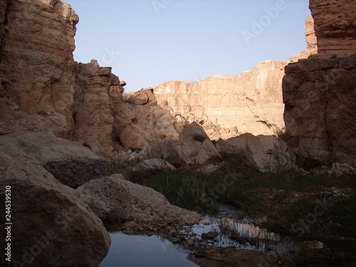 Chebika, Tunisia - April 15, 2018: Ruins and oasis in village Chebika, mountain oasis, Tunisia, Africa