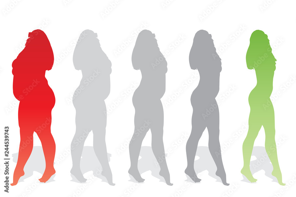 Vector conceptual fat overweight obese female vs slim fit healthy body after weight loss or diet with muscles thin young woman isolated. Fitness, nutrition or fatness obesity, health silhouette shape Vector conceptual fat overweight obese female vs slim fit healthy body after weight loss or diet with muscles thin young woman isolated. Fitness, nutrition or fatness obesity, health silhouette shape