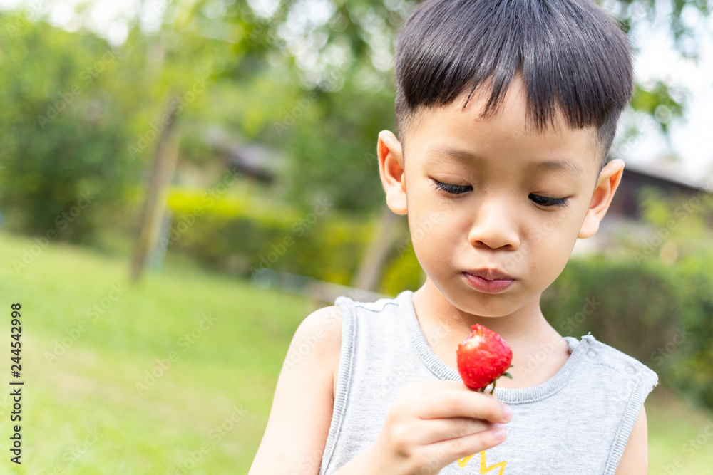 Children eating strawberries. Children eating strawberries.