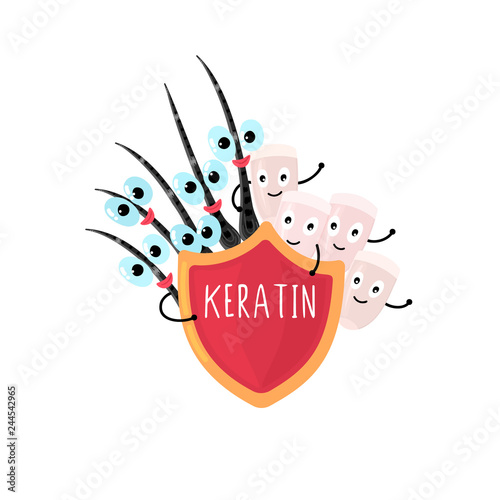 Happy nails and hair peeking out from under the red shield that says Keratin. Beauty and care. Hand drawn cute cartoon design. Lettering. Advertising, banner, poster, brochure. Vector, eps10