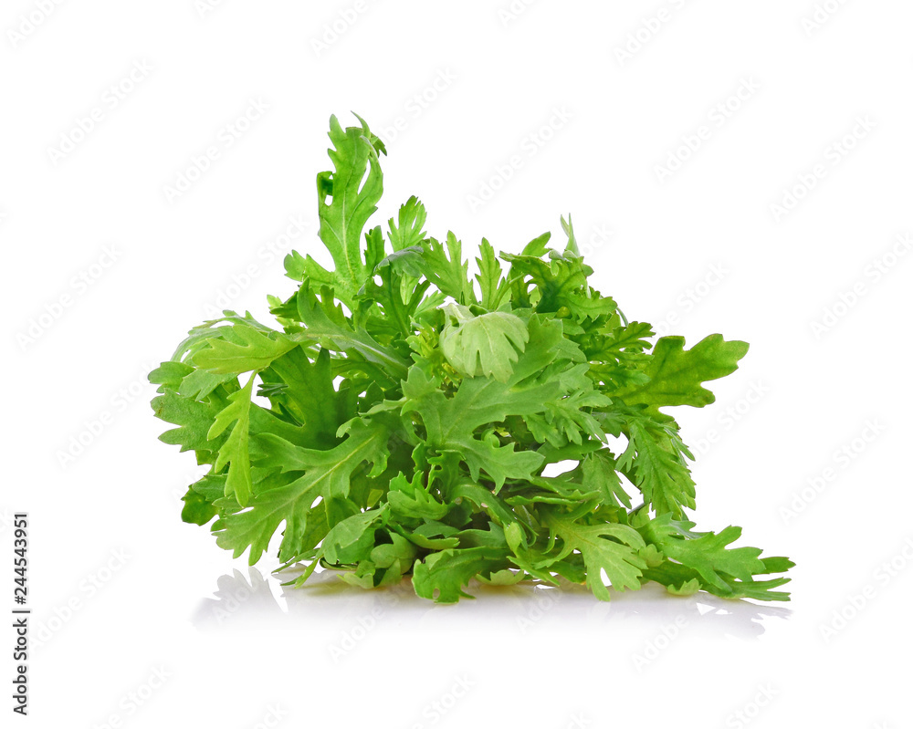 Fototapeta premium Chrysanthemum coronarium on white background