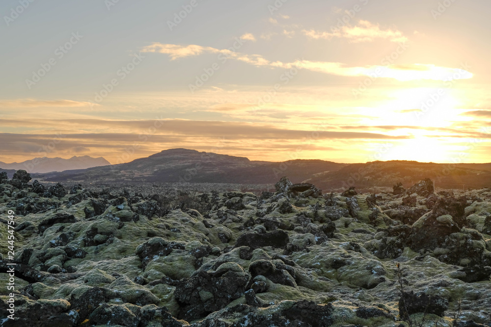 Lava rock field cover with moss and fern and mountain background sunset Lava rock field cover with moss and fern and mountain background sunset