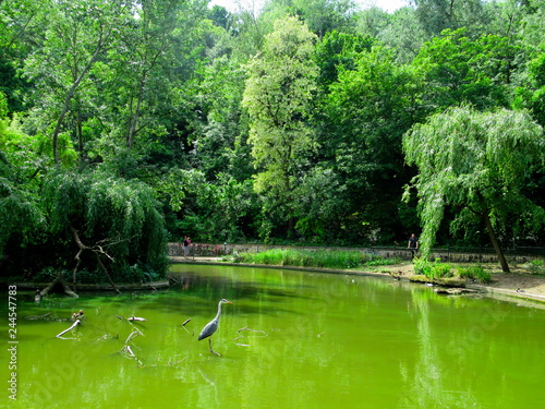 Berlin, Volkspark Friedrichshain photo