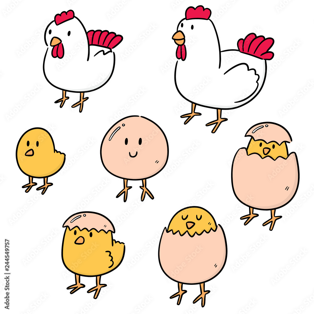 vector set of chicken and egg vector set of chicken and egg