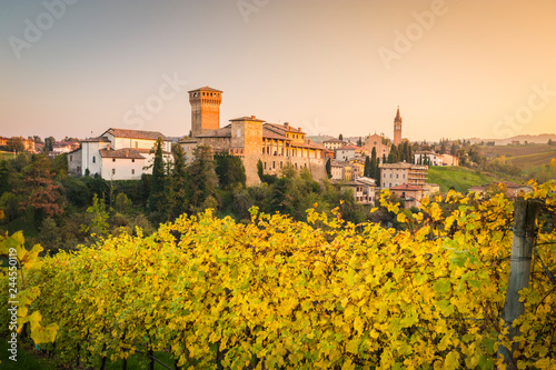 Levizzano Rangone with wineyards on the foreground. Modena province, Emilia Romagna, Italy
