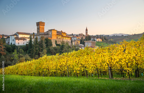Фотография Levizzano Rangone with wineyards on the foreground