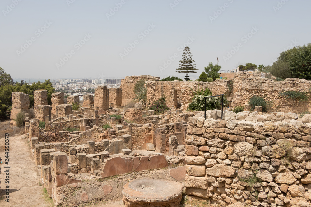 The archaeological site of Ancient Carthage, Tunisia, Africa