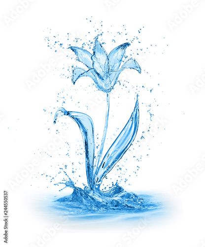 flower made of water splashes isolated on white background