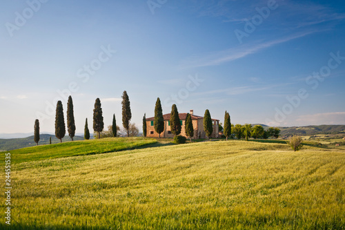 Val d Orcia landscape  Siena province  Tuscany  Italy