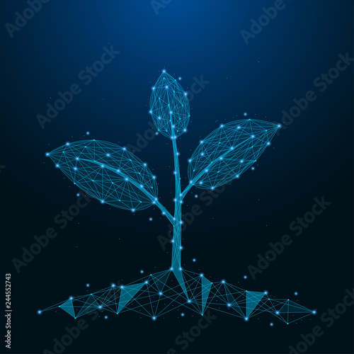 Sprout of plant made by points and lines. Low poly blue seedling. Polygonal wireframe mesh on night sky. Vector illustration.