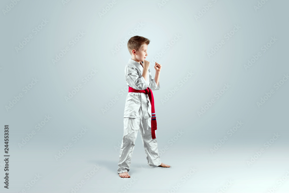 Creative background, a child in a white kimono in a fighting stance, on a light background. The concept of martial arts, karate, sports since childhood, discipline, first place, victory. copy space. Creative background, a child in a white kimono in a fighting stance, on a light background. The concept of martial arts, karate, sports since childhood, discipline, first place, victory. copy space.
