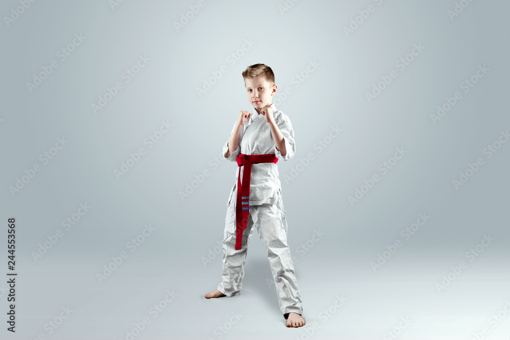 Creative background, a child in a white kimono in a fighting stance, on a light background. The concept of martial arts, karate, sports since childhood, discipline, first place, victory. copy space. Creative background, a child in a white kimono in a fighting stance, on a light background. The concept of martial arts, karate, sports since childhood, discipline, first place, victory. copy space.