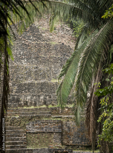 Closeup shot of the Lamanai temple in Belize, framed by palm trees.