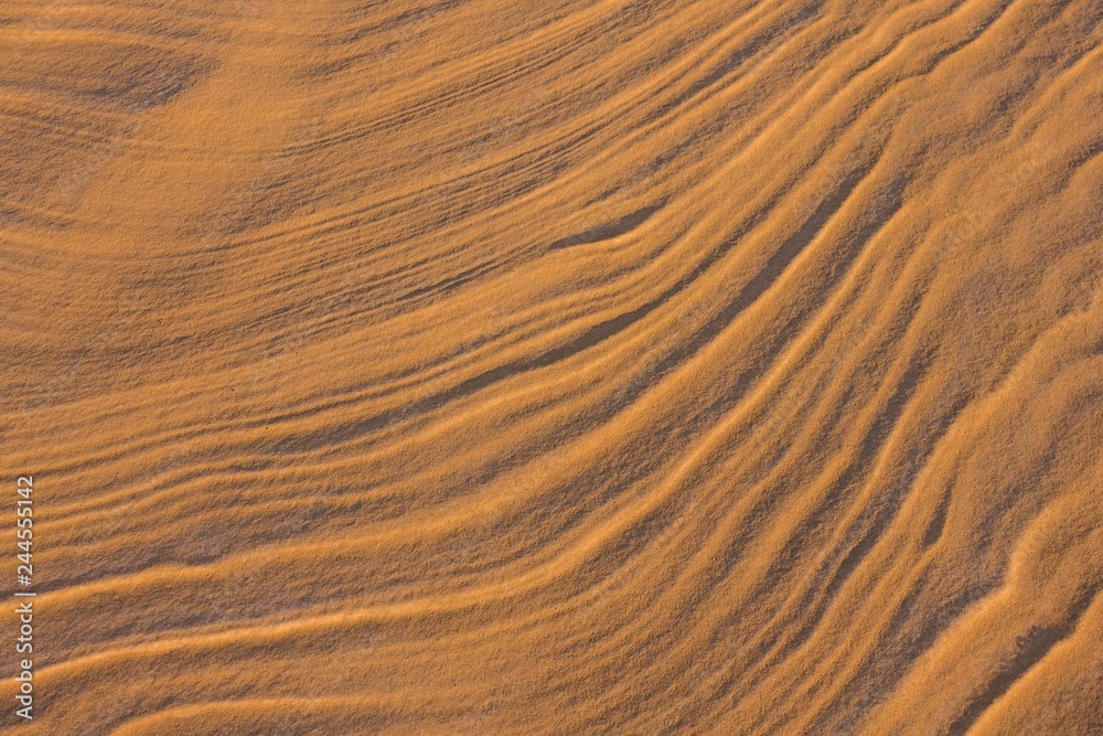 Yellow sand, desert. Yellow sand, desert.