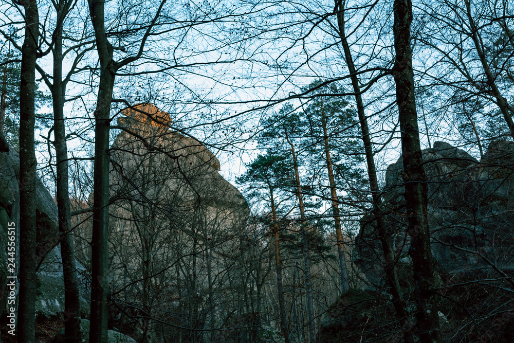 Dovbush Rocks Ukraine landscaped photos of autumn, trees without leaves