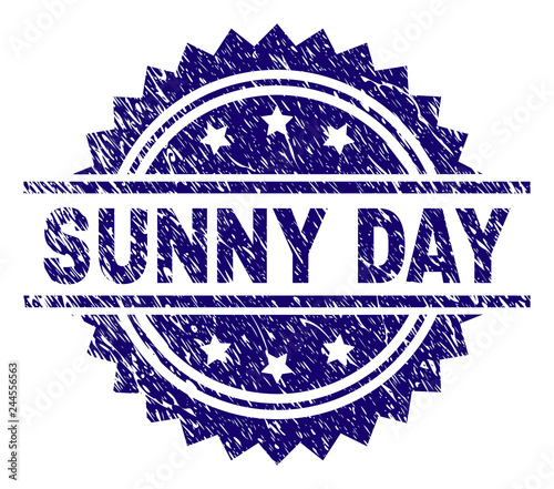 SUNNY DAY stamp seal watermark with distress style. Blue vector rubber print of SUNNY DAY title with unclean texture.
