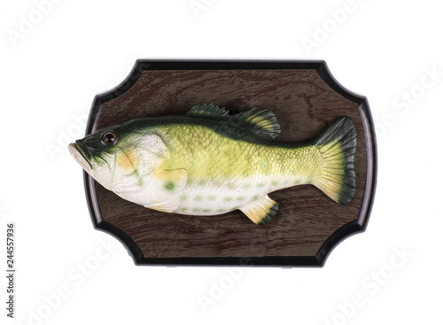 Photography decorative fish on the board