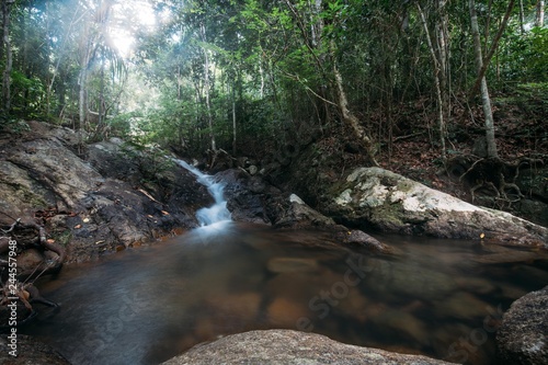 Mountain stream in the rainforest.