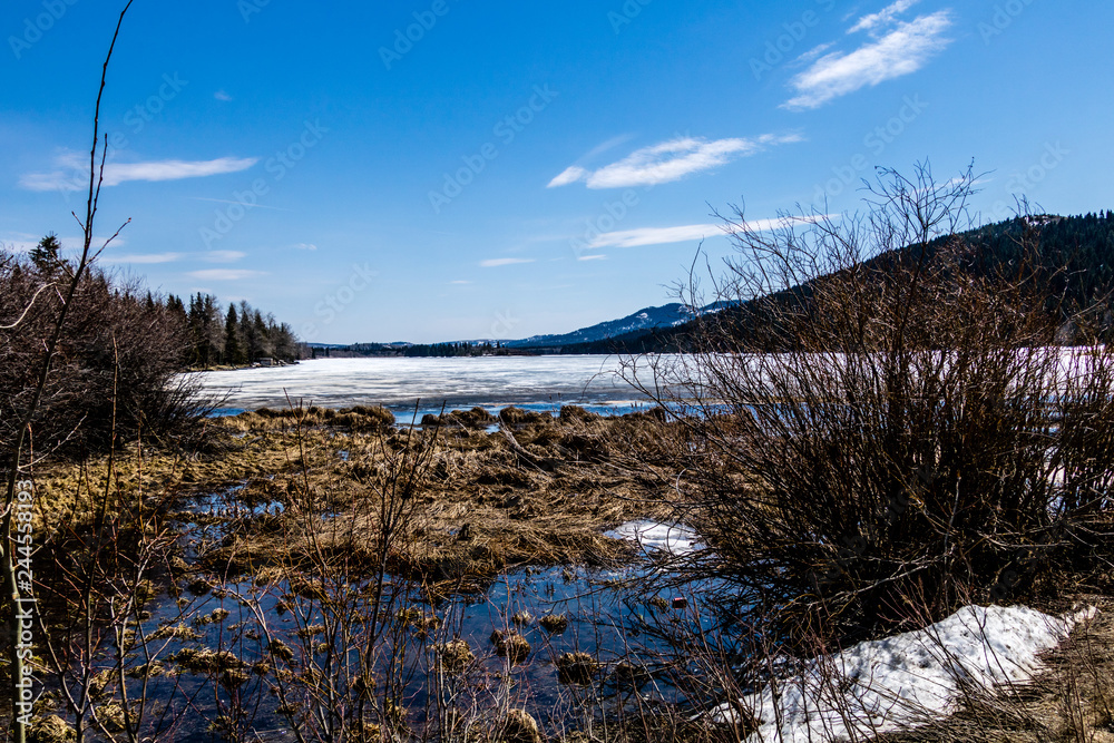 Last gasp of winter on Beauvais Lake Provincial Park, Alberta, Canada Last gasp of winter on Beauvais Lake Provincial Park, Alberta, Canada