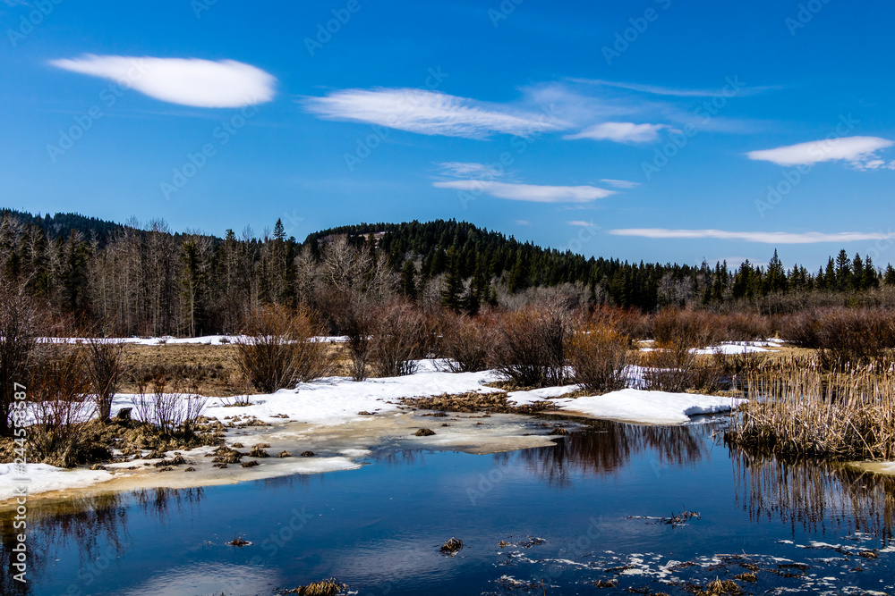 Last gasp of winter on Beauvais Lake Provincial Park, Alberta, Canada