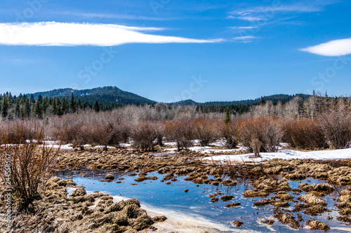 Wallpaper Mural Last gasp of winter on Beauvais Lake Provincial Park, Alberta, Canada Torontodigital.ca