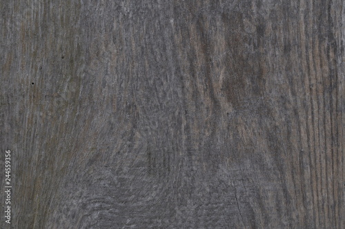 texture of wood