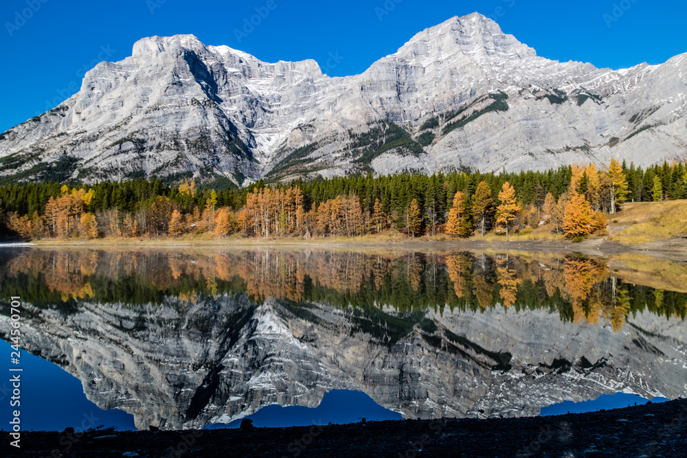 Rockies from Wedge Pond under late fall colours, Spray Valley Provincial Park