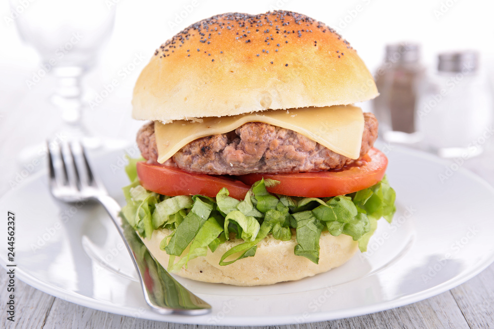 hamburger with beef and cheese