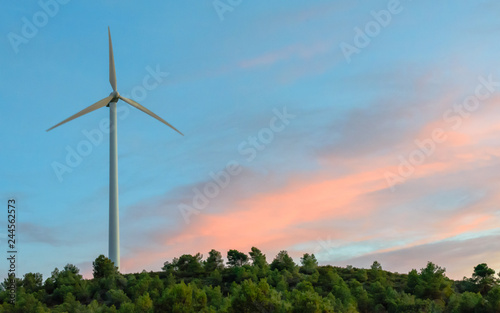 Wind plant at sunset for the generation of electrical energy