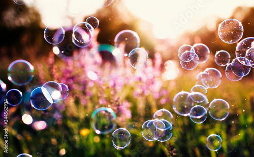 beautiful natural background with summer clear green meadow with pink flowers...