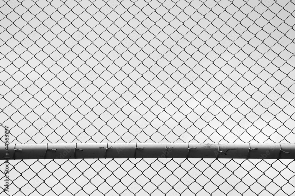 Fototapeta premium the cage metal net on white background