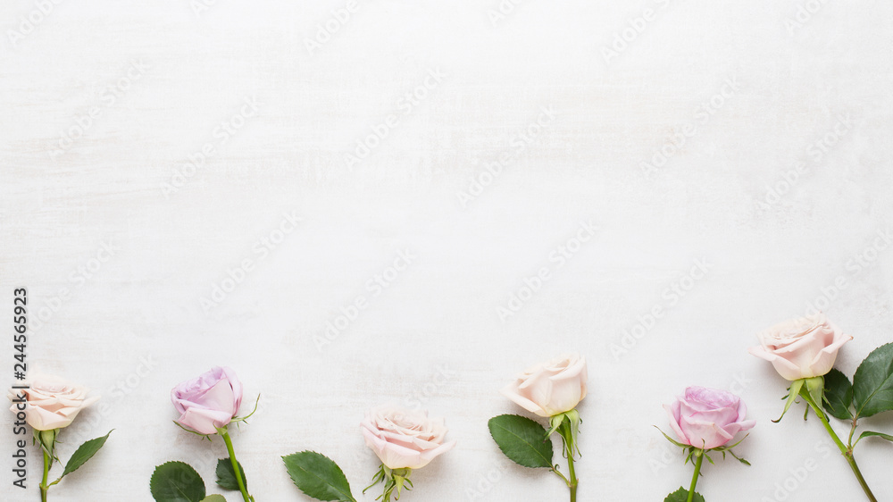 Flowers composition. Frame made of pink rose on gray background. Flat lay, top view, copy space.