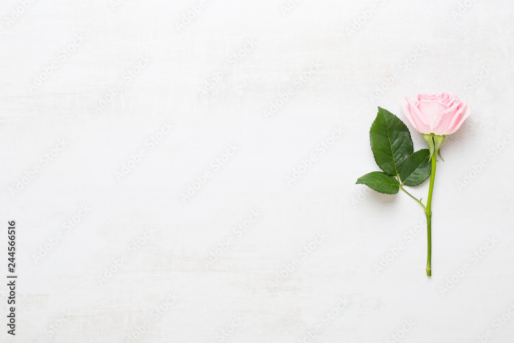 Fototapeta premium Flowers valentine day composition. Frame made of pink rose on gray background. Flat lay, top view, copy space.