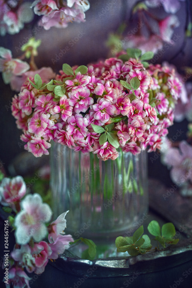 Obraz premium Lovely bunch of flowers. Pink Kalanchoe flowers on the table. 