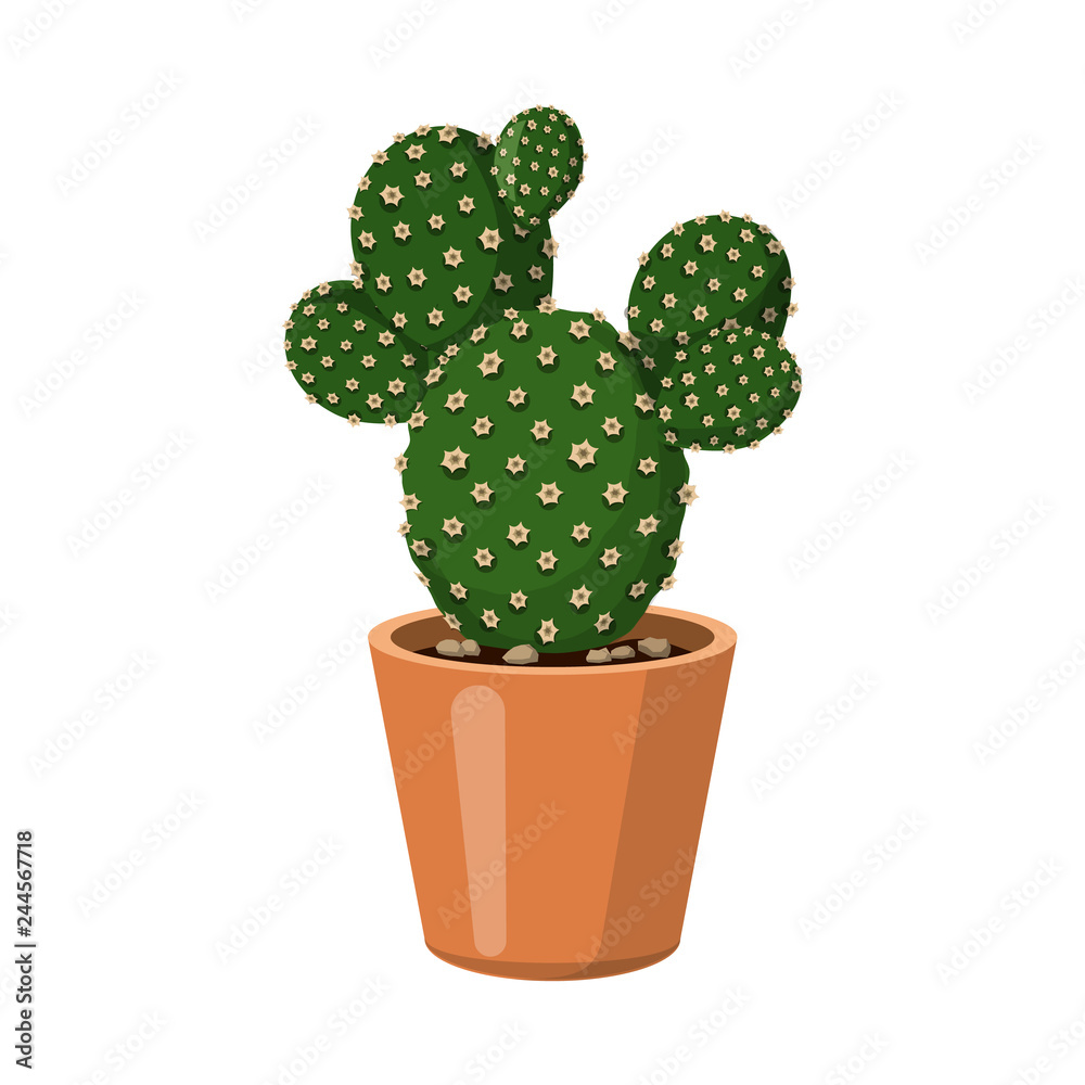 Isolated object of cactus and pot symbol. Set of cactus and cacti stock vector illustration. Isolated object of cactus and pot symbol. Set of cactus and cacti stock vector illustration.