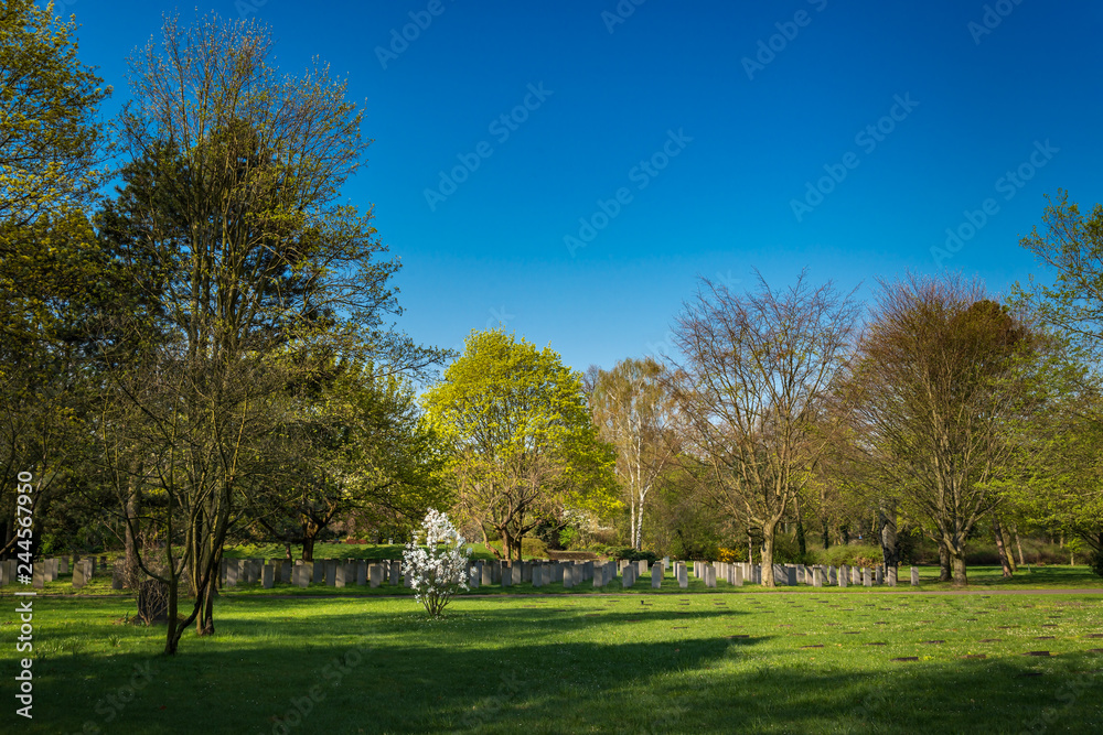 Soldatengräber auf dem neuen Teil des Friedhofs Berlin-Baumschulenweg im Frühling