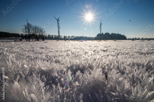 Ein Feld mit Eiskristallen photo