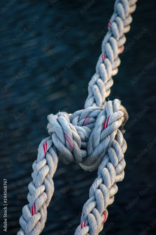 Old Mossy Rope in The Sea
