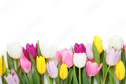 Bouquet of tulips on white background