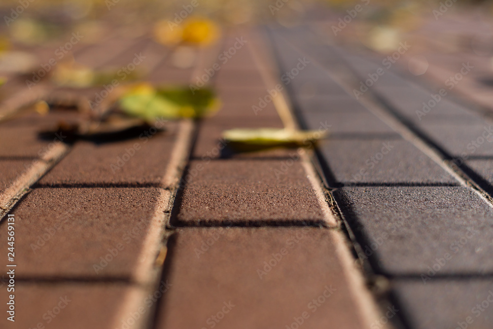 Autumn walking road with leaves at the curb. Green grass and orange leaves. Close-up view. Blurred background. Autumn walking road with leaves at the curb. Green grass and orange leaves. Close-up view. Blurred background.