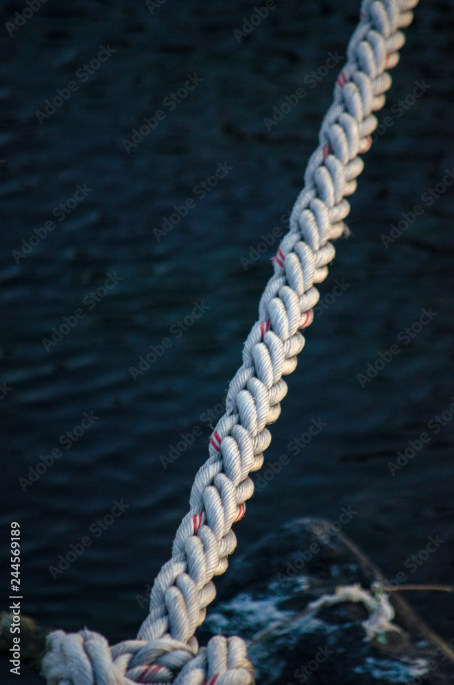 Fototapeta premium Old Mossy Rope in The Sea