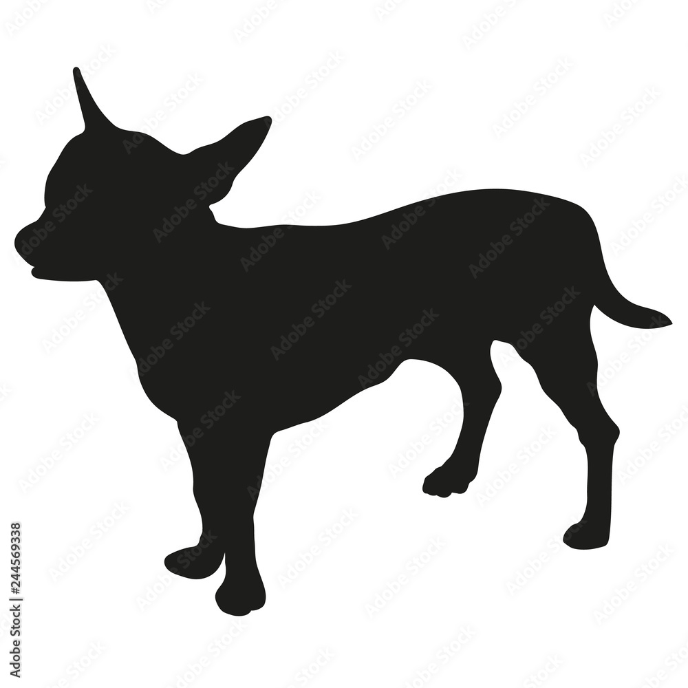Black silhouette of a dog on a white background. Chihuahua. Vector illustration.