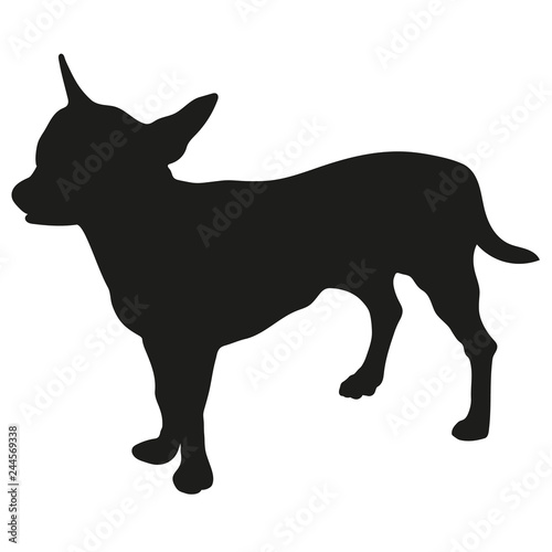 Black silhouette of a dog on a white background. Chihuahua. Vector illustration.