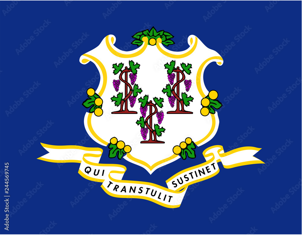 Obraz premium Connecticut State Flag Vector