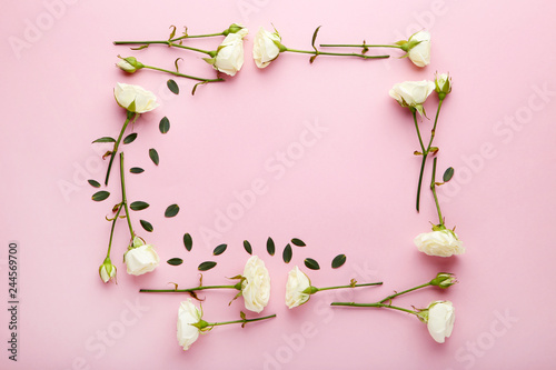 White rose flowers with green leafs on pink background